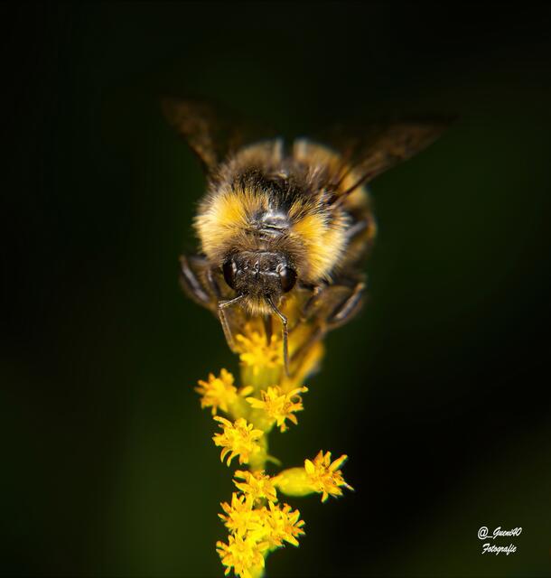 ......maaaaa Güni,langsam wird es hart .....