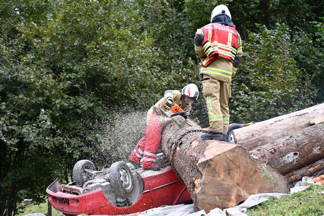 Auch die Baumstämme konnten zügig entfernt werden. | Foto: Stefan Hafner