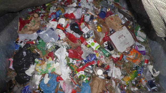 Typischer Restmüll vom Grazer Stadtpark. 
Der Fotograf hat sich erlaubt - einen Blick unter die Abdeckplane zu werfen... 
So ein  Foto sollte eigentlich nicht an die Öffentlichkeit gelangen - oder?