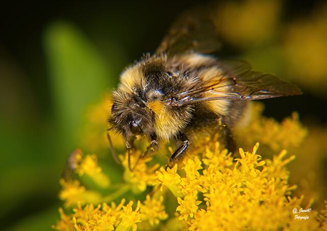 ......vielleicht ist es oben waita wärmer......