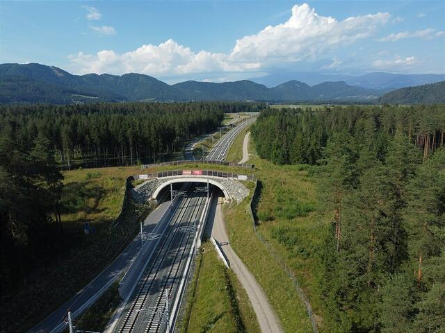 Die Grünbrücke in Aich wurde aufgrund ihrer innovativen Bauweise vor kurzem international ausgezeichnet. | Foto: ÖBB/Freiland