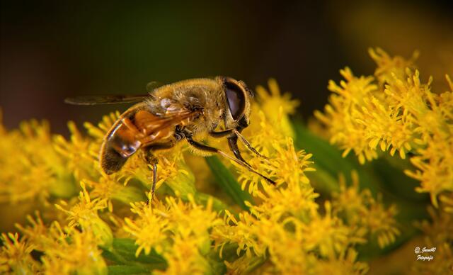 .......ich verdünne mich auch wieda ......