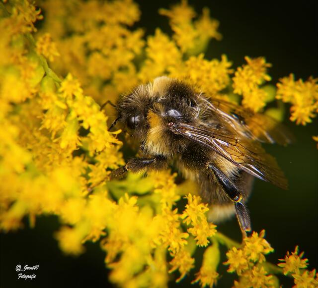 .....oh,hier kann ich mir etwas Schutz suchen....