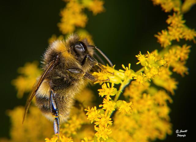 .....i steig etwas aufi ......