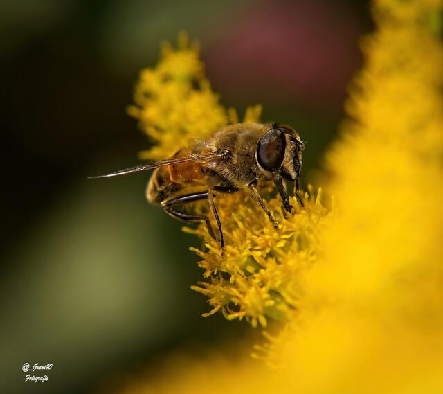 ........warum hab ich mir des ausgsucht.......