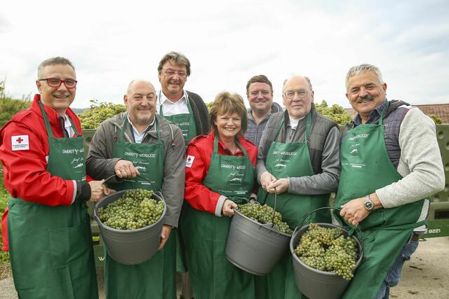 Rotkreuz-Konsul Christof Kastner, Eigentümer der Kastner Gruppe, Weinpate Rudi Rubinek, Präsident Josef Schmoll, Rotkreuz-Bildungsbotschafterin Karin Meier-Martetschläger, Pfandleihanstalt Erika Martetschläger, Josef Dockner, Diözesanbischof Alois Schwarz und Josef Dockner freuen sich über ein gelungenes Event. | Foto: RK NÖ / M. Hechenberger