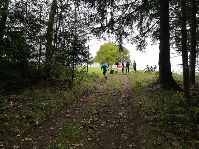 Foto: BRS/Zwettler Aktionsteam (ZAK)