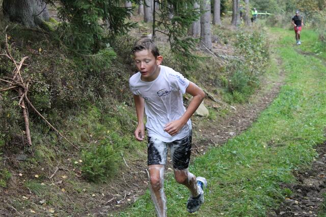 Foto: BRS/Zwettler Aktionsteam (ZAK)