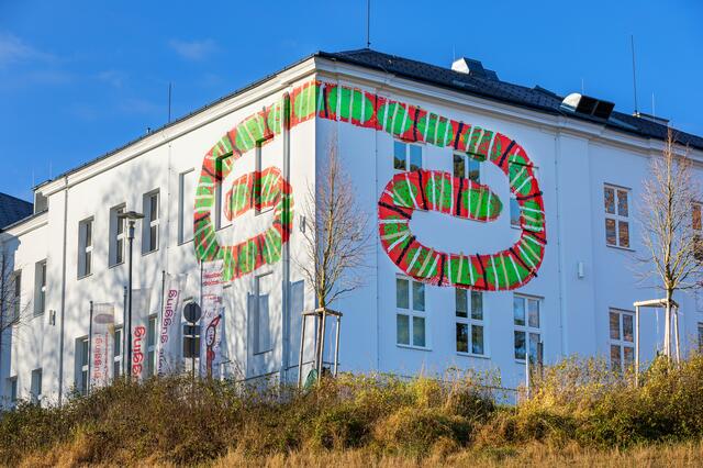 Die "Halbhölle" von August Walla auf der Nord-Fassade des museum gugging
 | Foto: Ludwig Schedl