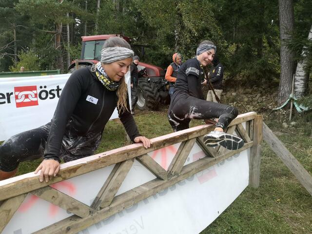 Foto: BRS/Zwettler Aktionsteam (ZAK)