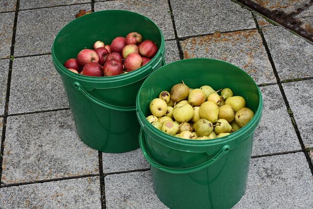 Äpfel und Birnen der Amstettner | Foto: Sabine Weigl