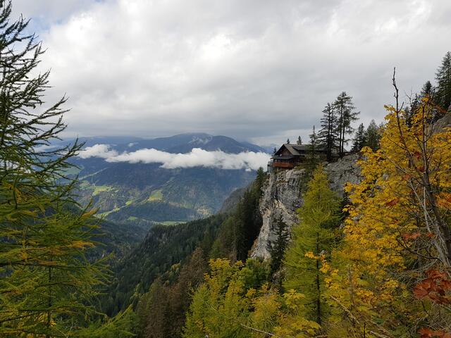 Das Land Tirol unterstützt das Nature Film Festival mit über 250 Einreichungen und das Journalismusfest mit gesamt 68.000 Euro. Das Nature Film Festival macht dieses Jahr auch in den Bezirken halt. | Foto: Caro Guttner