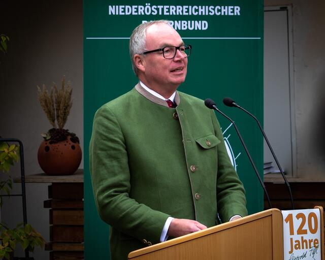 Landeshauptfrau-Stellvertreter Stephan Pernkop  | Foto: Christian Nowotny