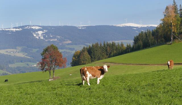 Zu viel Fleisch und auf Hochleistung gezüchtete Tiere schaden Klima, Gesundheit und Tierwohl.