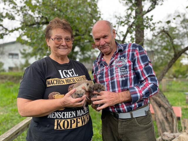 Christa und Karl Kaltenbrunner im Garten mit drei ihrer stacheligen "Pflegekinder".