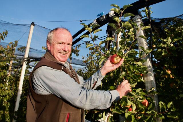 Obstbauer Manfred Reautschnig vom Rabahof aus Ebenthal hatte mit Hitze und Schädlingen zu kämpfen. | Foto: MeinBezirk.at