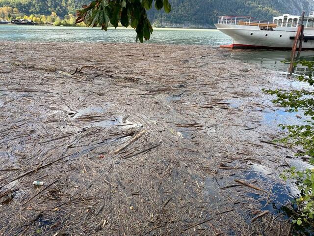 Auch der Traunsee ist von Schwemm- und Treibholz massiv betroffen. | Foto: Christian Bammer