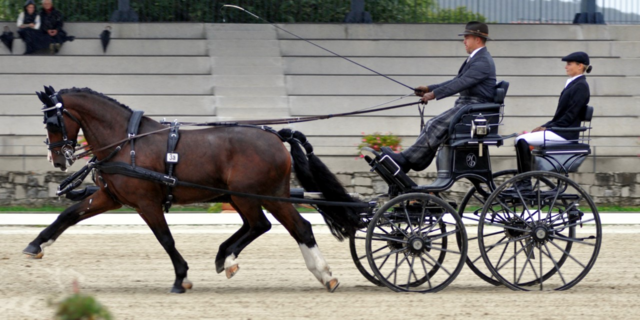 David Hötsch überzeugte mit seinen Pferden Eldiva und Idiaan in der Dressur. | Foto: Sonja Bauer