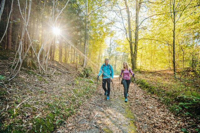 Im Rahmen des "Goldenen Wörthersee Wanderherbstes" finden in Krumpendorf, Pörtschach und Reifnitz bis Ende Oktober eine Reihe geführter Wanderungen statt. | Foto: Wörthersee Tourismus GmbH/Martin Hofmann