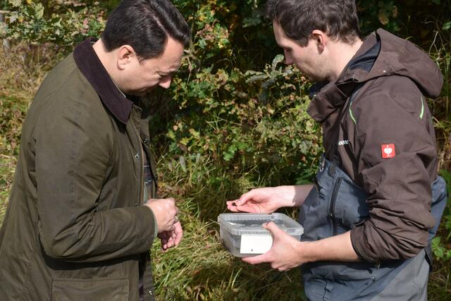 Manfred Haimbuchner und Daniel Daill bringen die Muscheln im Gießenbach aus. | Foto: Robert Zinterhof