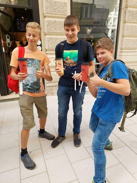 Die Waidhofner Schüler in Wien unterwegs. | Foto: WMMS