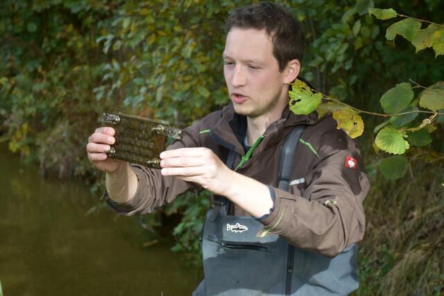 Kleinere Muschel kommen in Schutzvorrichtungen in das Wasser.  | Foto: Robert Zinterhof
