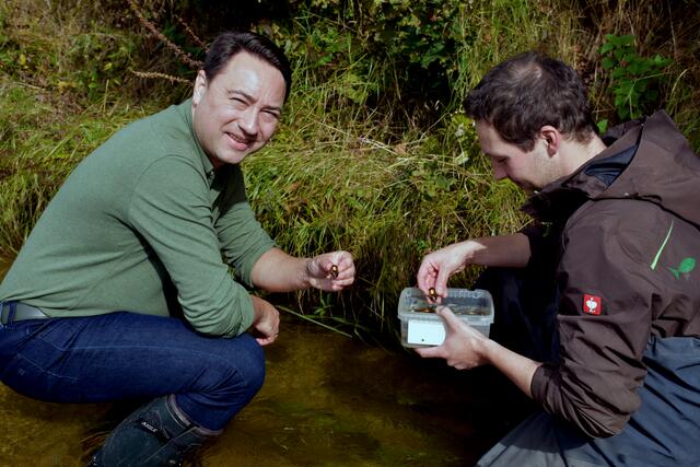 Manfred Haimbuchner und Daniel Daill bringen die Muscheln im Gießenbach aus. | Foto: Robert Zinterhof