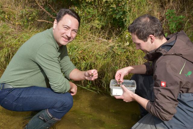 Manfred Haimbuchner und Daniel Daill bringen die Muscheln im Gießenbach aus. | Foto: Robert Zinterhof