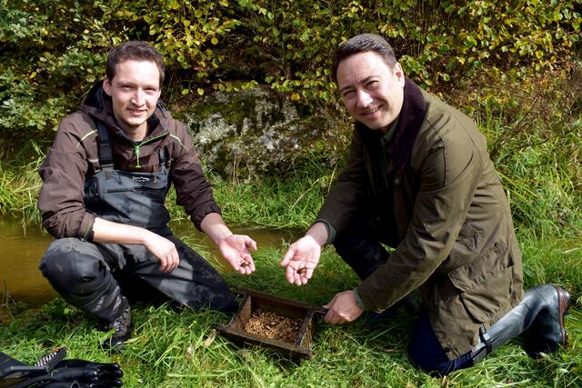 Manfred Haimbuchner und Daniel Daill bringen die Muscheln im Gießenbach aus. | Foto: Robert Zinterhof