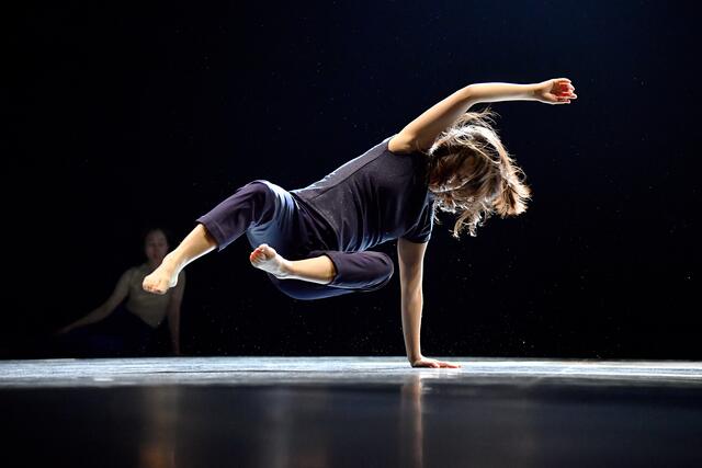 Beim Tanzhafenfestival treten nationale und internationale Künstlerinnen und Künstler mit Bezug zu Oberösterreich  auf.  | Foto: Arts Council Korea OSH