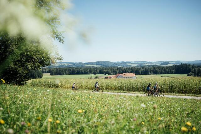 Der Radlerboom im „Entdeckerviertel“ hält an. | Foto: OÖ Tourismus/Entdeckerviertel/TomSon