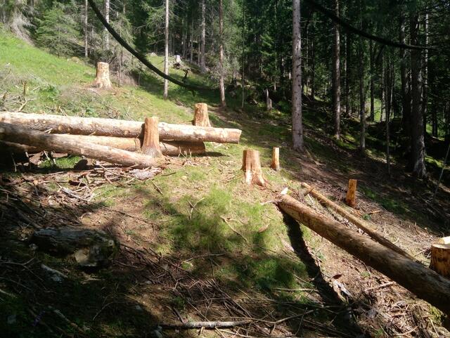 Foto: BFI Steinach