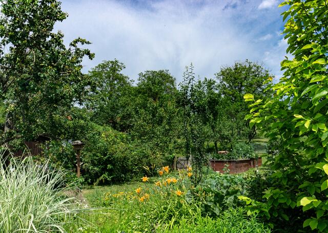 "Natur Im Garten" Burgenland Von heimischen Pflanzen bis hin zu Exoten