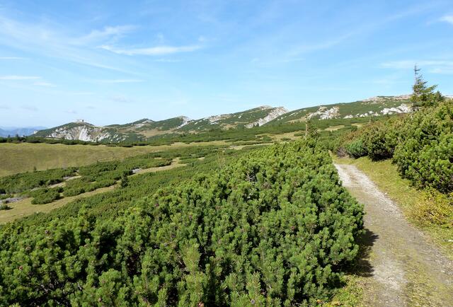 saftiges Grün und ein strahlend blauer Himmel
