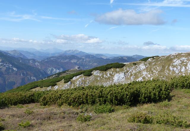 das Habsburghaus steht einsam am Hügel