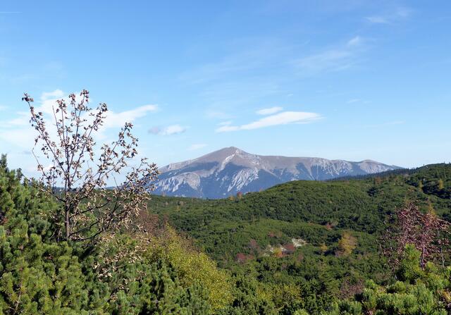 der Schneeberg