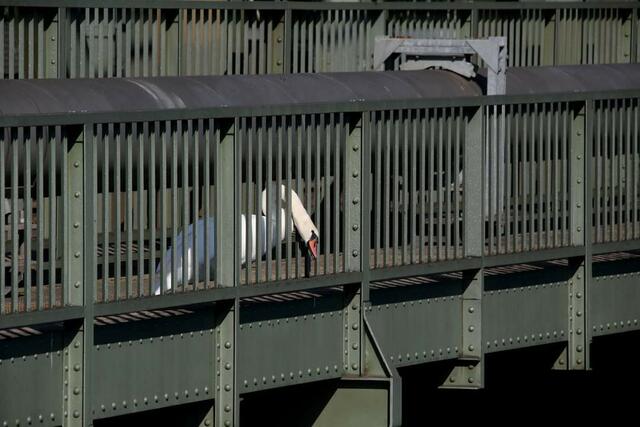 Foto: Harald Illsinger 