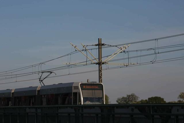 Hochspannungsleitungen ohne Beschilderung für grosse Wasservögel  | Foto: Harald Illsinger 