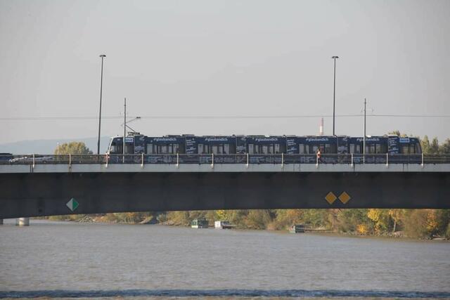 Keine Beschilderung für grosse Wasservögel ,Todesgefahr für Wildtiere | Foto: Harald Illsinger 