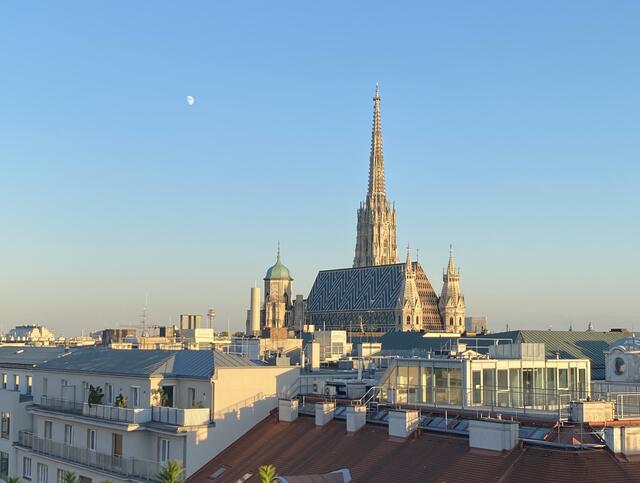 So haben die Wienerinnen und Wiener bei der Bundespräsidentenwahl 2022 gewählt. | Foto: Barbara Schuster/RMW