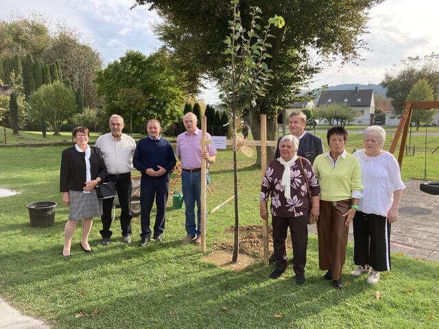 Aktuelle Nachrichten aus Güssing meinbezirk.at
