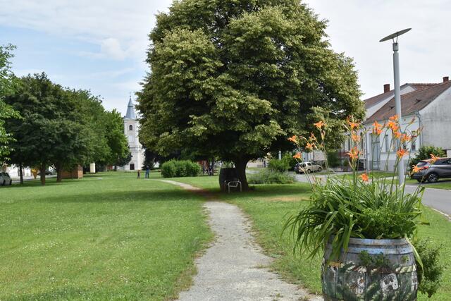 Der ehemalige Anger soll mit Strom, Wasser und Kanalanschluss ausgestattet werden, um mehr Veranstaltungen möglich zu machen. | Foto: Martin Wurglits
