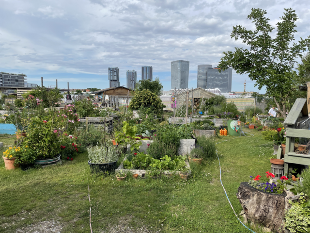 Der Neumarx Garten ist eines der aktuellen Zwischennutzungsprojekte auf dem Areal. | Foto: Hannah Maier