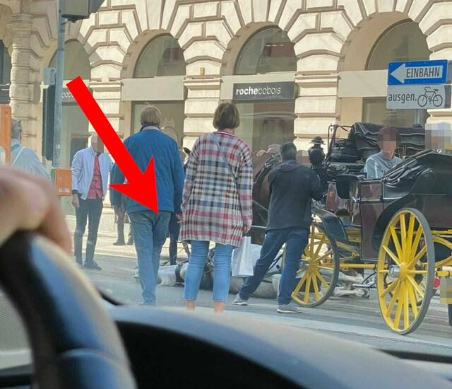 Das Pferd liegt umgekippt, eingespannt in die Kutsche, auf dem Boden.  | Foto: VGT
