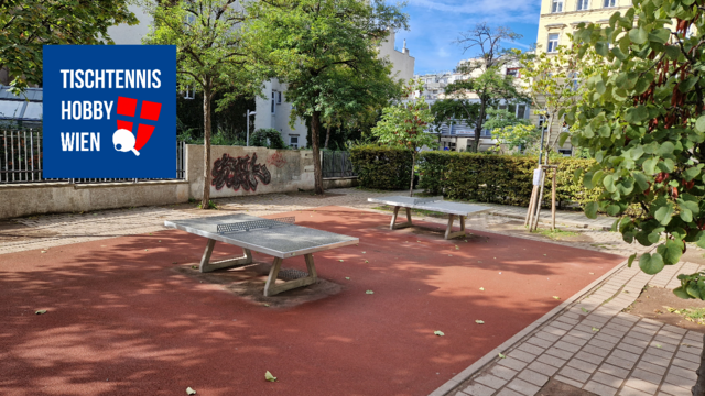 Tischtennis in Josefstadt neu erleben - Tigerpark | Foto: Tischtennis Hobby Wien