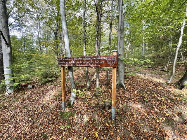 Foto: Pauline Schauer