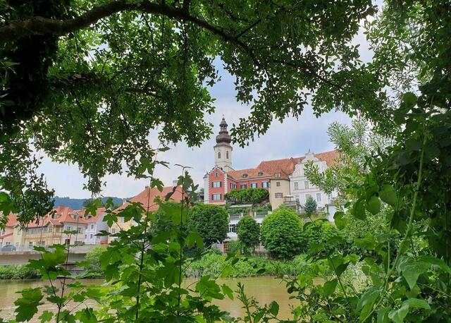 Nicht nur Grün im "Kern": Frohnleiten hat im Vergleich zu allen anderen GU-Nord-Gemeinden den höchsten Anteil an Wäldern. | Foto: Christa Posch