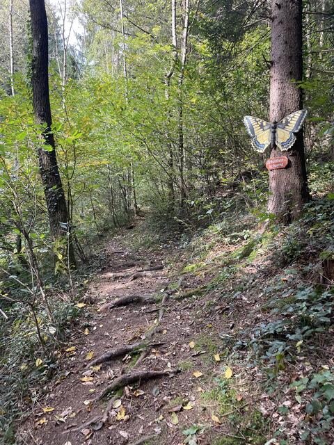Foto: Pauline Schauer