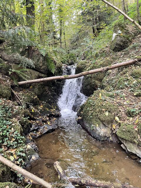 Ein kleiner Wasserfall bei der Kneippstelle | Foto: Pauline Schauer