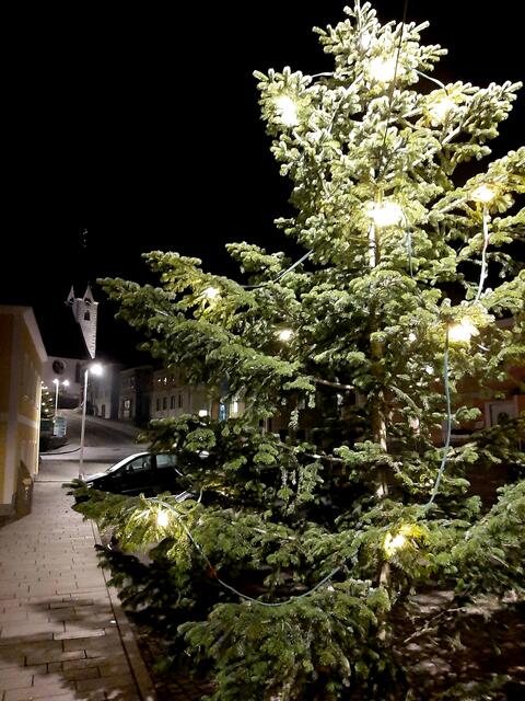 Sparen bei Weihnachtsbeleuchtung 2022 in Pabneukirchen: 2 Bäume mit Lichtern.  | Foto: Zinterhof